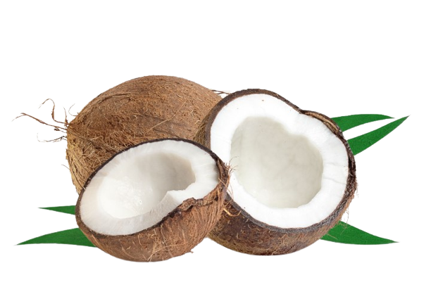 Coconut