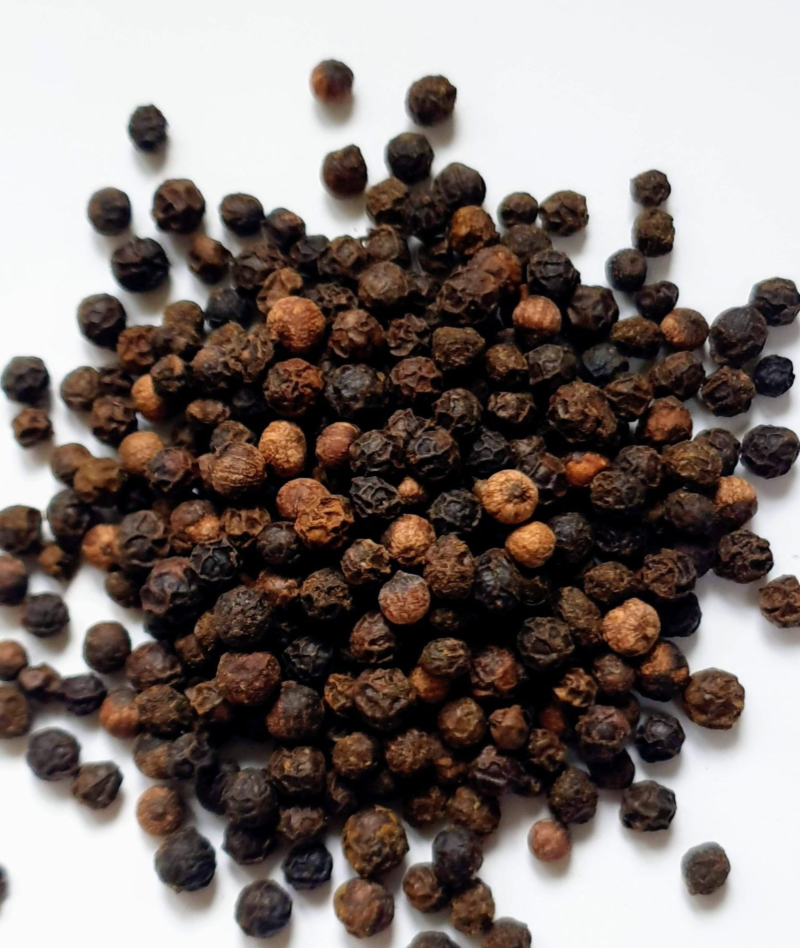 You are currently viewing Black Pepper: A Versatile Spice with Medicinal Properties